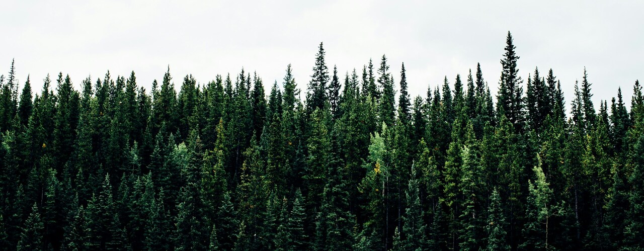 Eco-Conscious Fire Protection: Pyrogen's Impactful Solutions